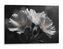 Flores blancas - DIEGO D L | Cuadro decorativo de Canvas Lab