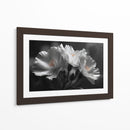 Flores blancas - DIEGO D L | Cuadro decorativo de Canvas Lab