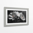 Flores blancas - DIEGO D L | Cuadro decorativo de Canvas Lab