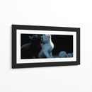 Ying Yang en gatos - DIEGO D L | Cuadro decorativo de Canvas Lab