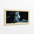 Ying Yang en gatos - DIEGO D L | Cuadro decorativo de Canvas Lab