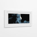 Ying Yang en gatos - DIEGO D L | Cuadro decorativo de Canvas Lab