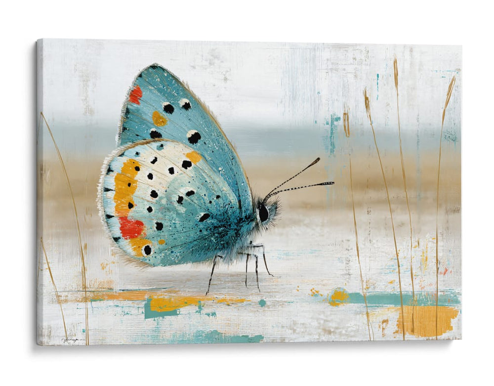 Mariposa en oleo - DIEGO D L | Cuadro decorativo de Canvas Lab