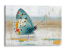 Mariposa en oleo - DIEGO D L | Cuadro decorativo de Canvas Lab