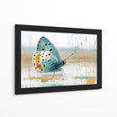 Mariposa en oleo - DIEGO D L | Cuadro decorativo de Canvas Lab