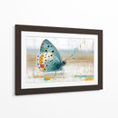 Mariposa en oleo - DIEGO D L | Cuadro decorativo de Canvas Lab