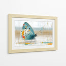 Mariposa en oleo - DIEGO D L | Cuadro decorativo de Canvas Lab