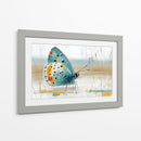 Mariposa en oleo - DIEGO D L | Cuadro decorativo de Canvas Lab