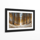 Arboles gigantes - DIEGO D L | Cuadro decorativo de Canvas Lab