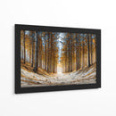 Arboles gigantes - DIEGO D L | Cuadro decorativo de Canvas Lab