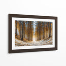 Arboles gigantes - DIEGO D L | Cuadro decorativo de Canvas Lab