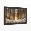 Arboles gigantes - DIEGO D L | Cuadro decorativo de Canvas Lab
