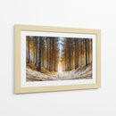 Arboles gigantes - DIEGO D L | Cuadro decorativo de Canvas Lab