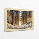 Arboles gigantes - DIEGO D L | Cuadro decorativo de Canvas Lab
