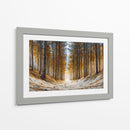 Arboles gigantes - DIEGO D L | Cuadro decorativo de Canvas Lab