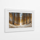Arboles gigantes - DIEGO D L | Cuadro decorativo de Canvas Lab