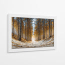 Arboles gigantes - DIEGO D L | Cuadro decorativo de Canvas Lab