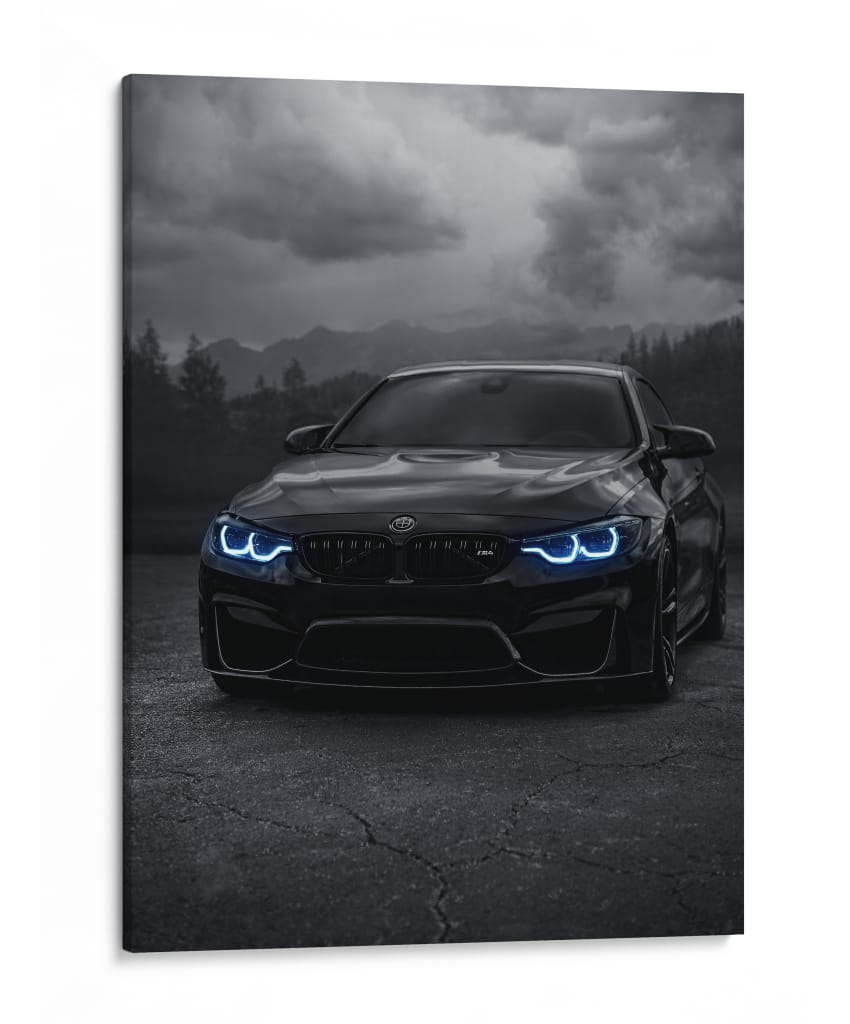 Bestia Oscura - Sae Art | Cuadro decorativo de Canvas Lab