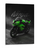 Veneno Verde - Sae Art | Cuadro decorativo de Canvas Lab