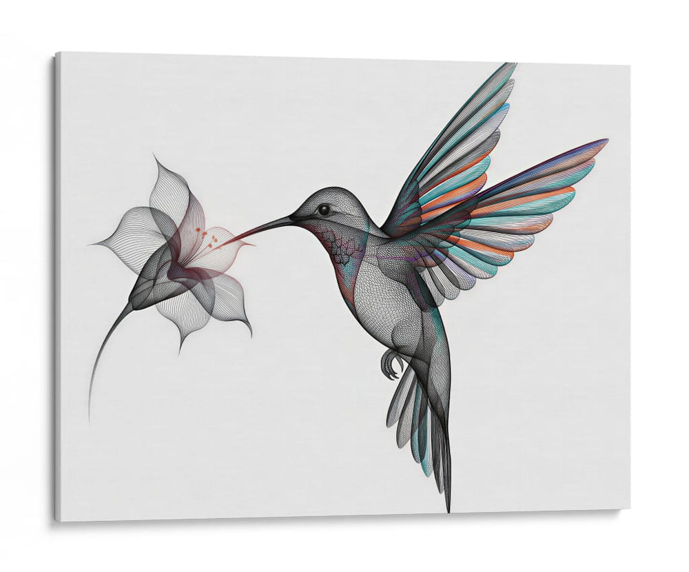 Colibrí - Caperh | Cuadro decorativo de Canvas Lab