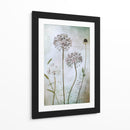 Allium - Mandy Disher | Cuadro decorativo de Canvas Lab