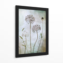 Allium - Mandy Disher | Cuadro decorativo de Canvas Lab