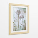 Allium - Mandy Disher | Cuadro decorativo de Canvas Lab