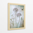 Allium - Mandy Disher | Cuadro decorativo de Canvas Lab