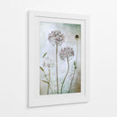 Allium - Mandy Disher | Cuadro decorativo de Canvas Lab