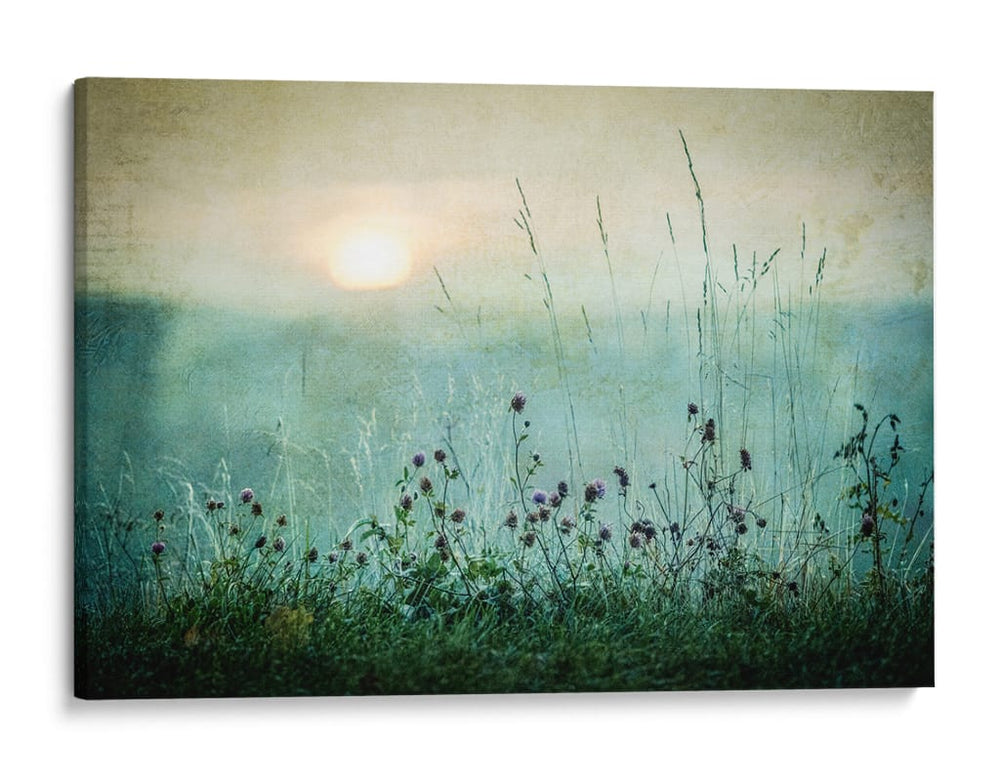 Amanecer en la pradera brumosa - Asmund Kvarnstrom | Cuadro decorativo de Canvas Lab