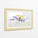Anémona de madera - Mandy Disher | Cuadro decorativo de Canvas Lab