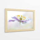Anémona de madera - Mandy Disher | Cuadro decorativo de Canvas Lab