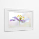 Anémona de madera - Mandy Disher | Cuadro decorativo de Canvas Lab