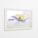 Anémona de madera - Mandy Disher | Cuadro decorativo de Canvas Lab