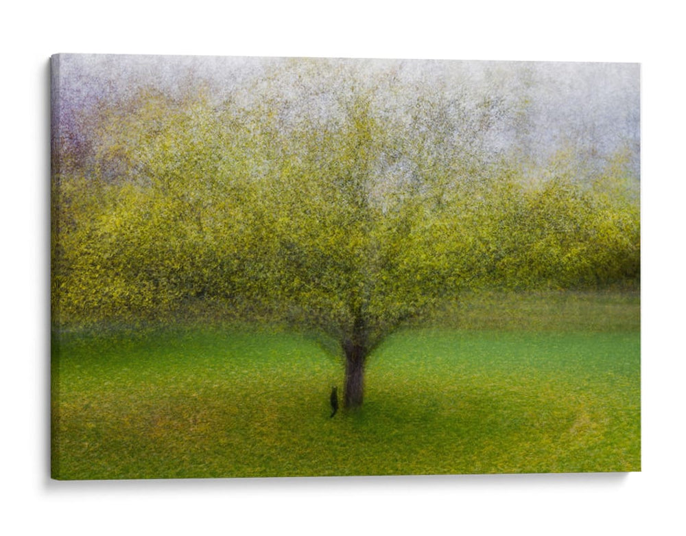 Árbol verde de ensueño - Arne Ostlund | Cuadro decorativo de Canvas Lab