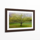 Árbol verde de ensueño - Arne Ostlund | Cuadro decorativo de Canvas Lab