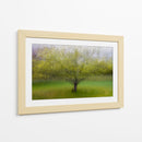 Árbol verde de ensueño - Arne Ostlund | Cuadro decorativo de Canvas Lab
