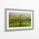 Árbol verde de ensueño - Arne Ostlund | Cuadro decorativo de Canvas Lab
