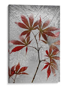 Arce rojo congelado - Secundino Losada | Cuadro decorativo de Canvas Lab