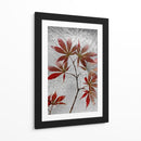 Arce rojo congelado - Secundino Losada | Cuadro decorativo de Canvas Lab