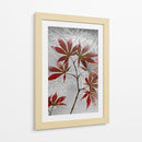 Arce rojo congelado - Secundino Losada | Cuadro decorativo de Canvas Lab
