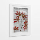 Arce rojo congelado - Secundino Losada | Cuadro decorativo de Canvas Lab
