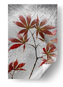 Arce rojo congelado - Secundino Losada | Cuadro decorativo de Canvas Lab