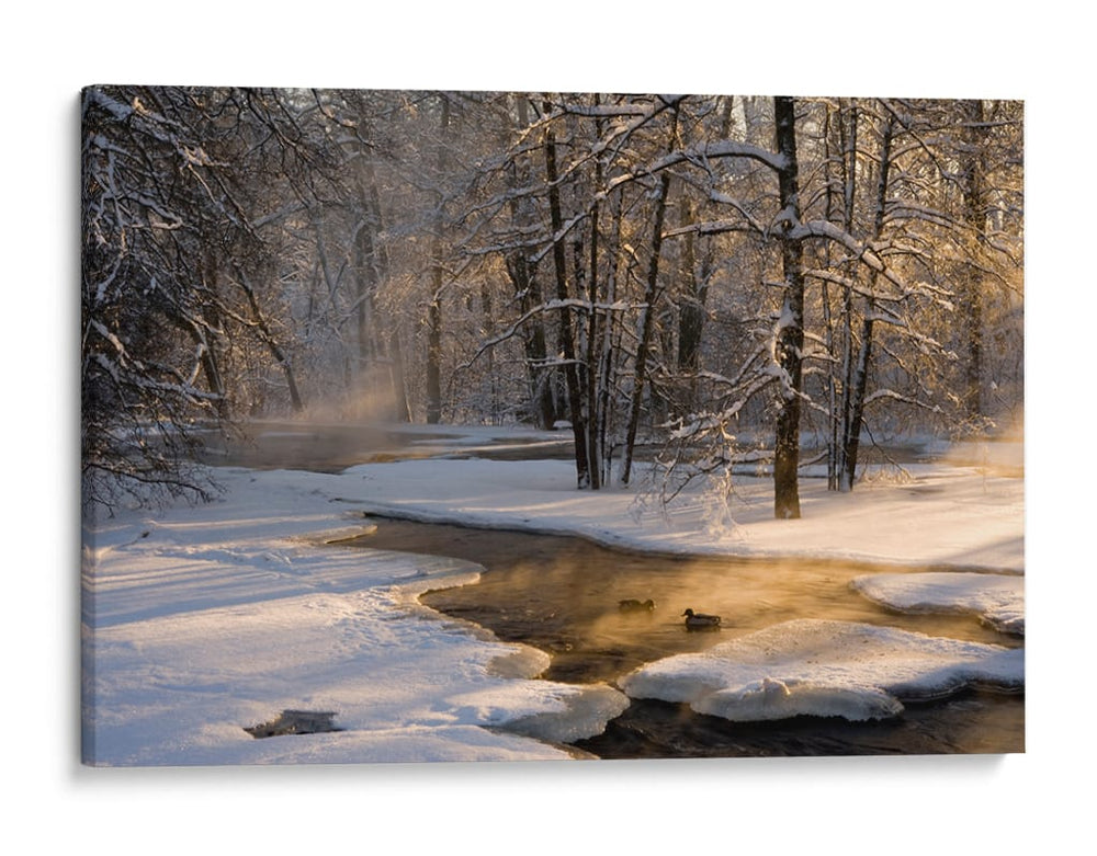 Arroyo invernal dorado - Robin Eriksson | Cuadro decorativo de Canvas Lab