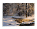 Arroyo invernal dorado - Robin Eriksson | Cuadro decorativo de Canvas Lab