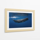 Ballena azul profunda - Barathieu Gabriel | Cuadro decorativo de Canvas Lab