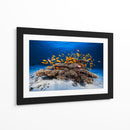 Banco de peces naranjas - Barathieu Gabriel | Cuadro decorativo de Canvas Lab