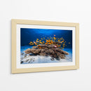 Banco de peces naranjas - Barathieu Gabriel | Cuadro decorativo de Canvas Lab