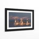 Caballos blancos corriendo - Rostovskiy Anton | Cuadro decorativo de Canvas Lab