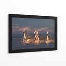 Caballos blancos corriendo - Rostovskiy Anton | Cuadro decorativo de Canvas Lab